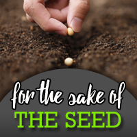 For the Sake of the Seed | New Victory Church